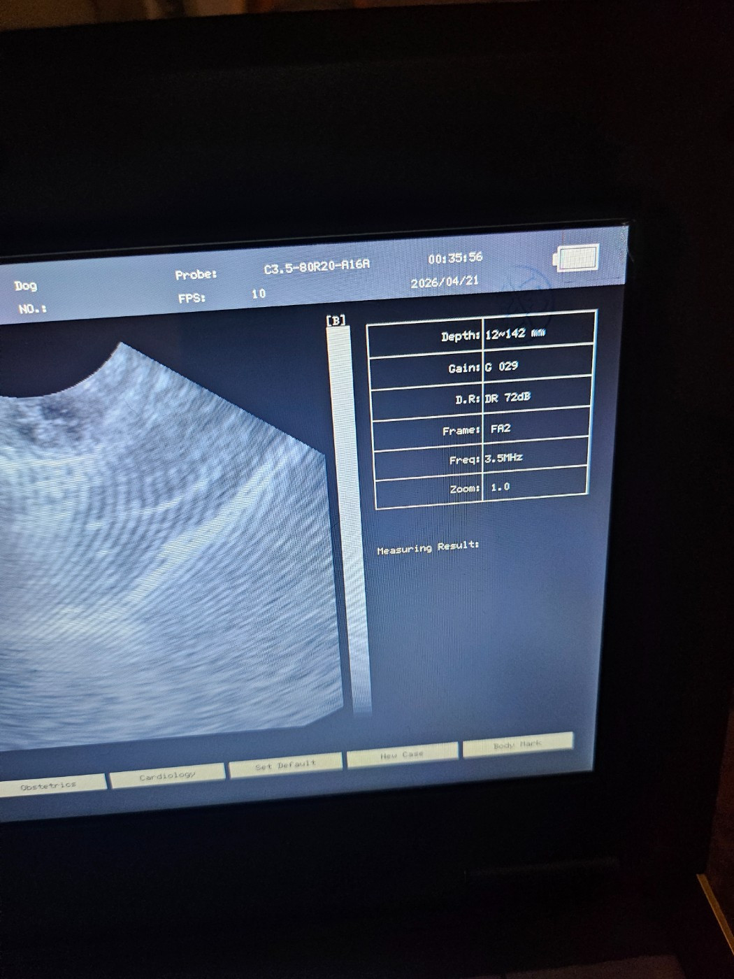 Gestation confirmée